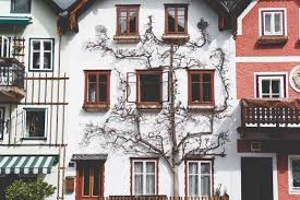 Apartamento Alto Padrão Vista Mar - Riviera